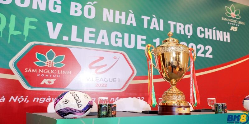 Các vòng đấu của V-League là gì